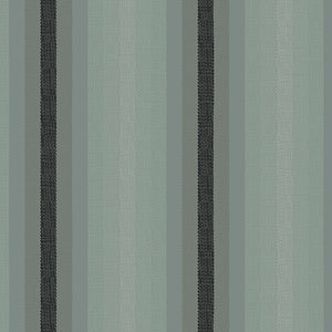 Kaleidoscope Stripes & Plaids by Alison Glass Charcoal Stripe