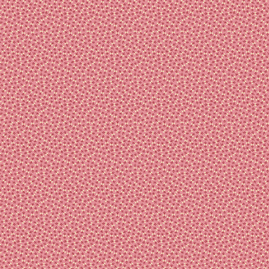Double Pinks Double Blues Pink Dot Tracks