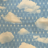 Freshly Picked by Melody Miller Blue Sky
