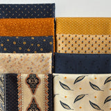 Indigo and Cheddar Curated Stack
