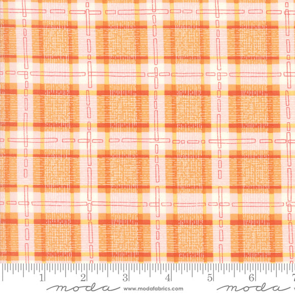 Abby Rose by Robin Pickens  Citrus Plaid