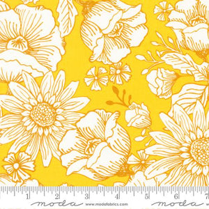 Sunflowers My Heart by Kate Spain Sunshine