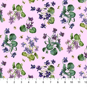 Chelsea from Northcott African Violet Digital