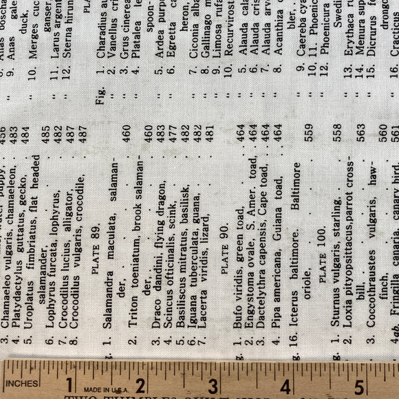 Encyclopedia Galactica Text Silver from Andover