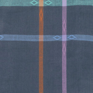 Loominous by Anna Maria Horner CrissCross Woven Plaid BOLT END 2 Yards + 10 Inches
